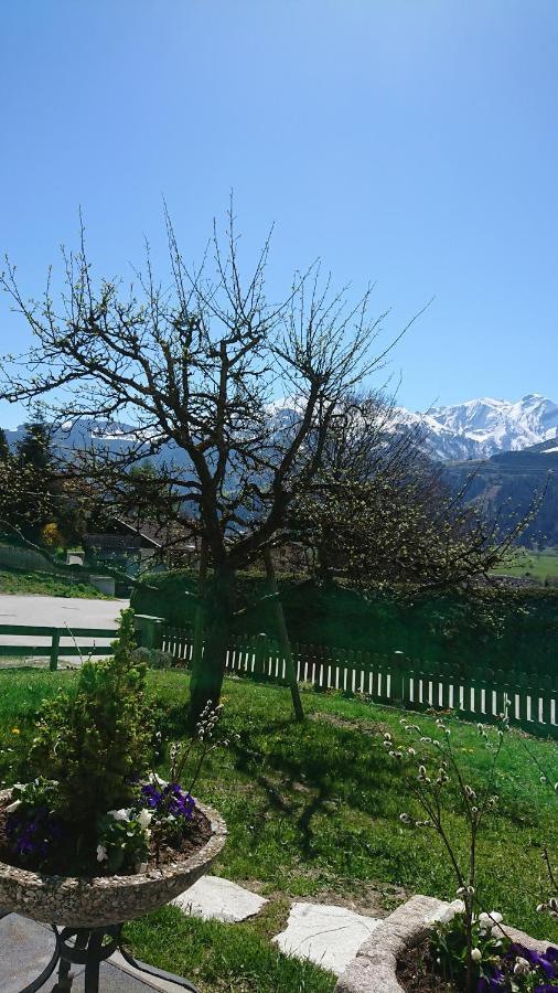 Hohe Tauern In Apartment *