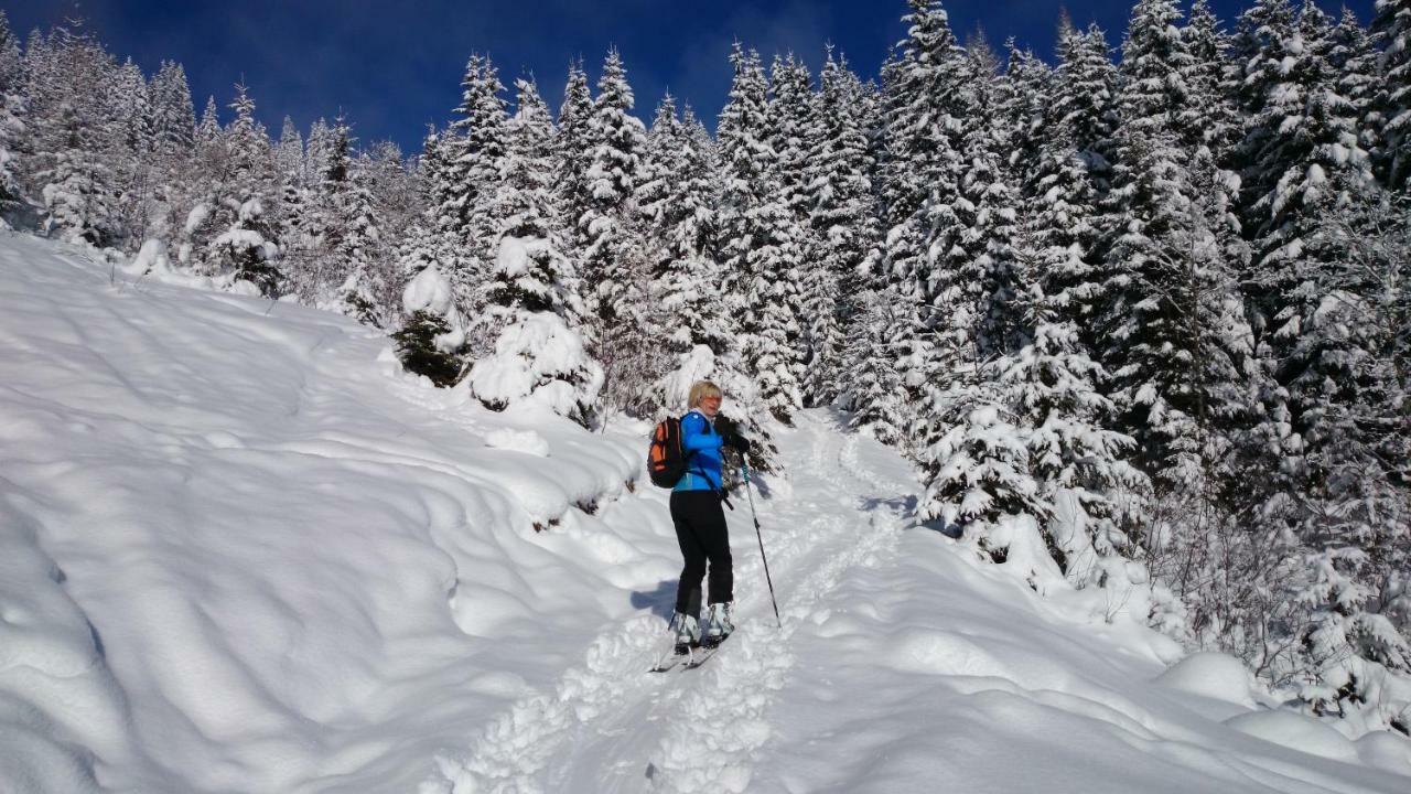 Hohe Tauern In Apartmán Piesendorf
