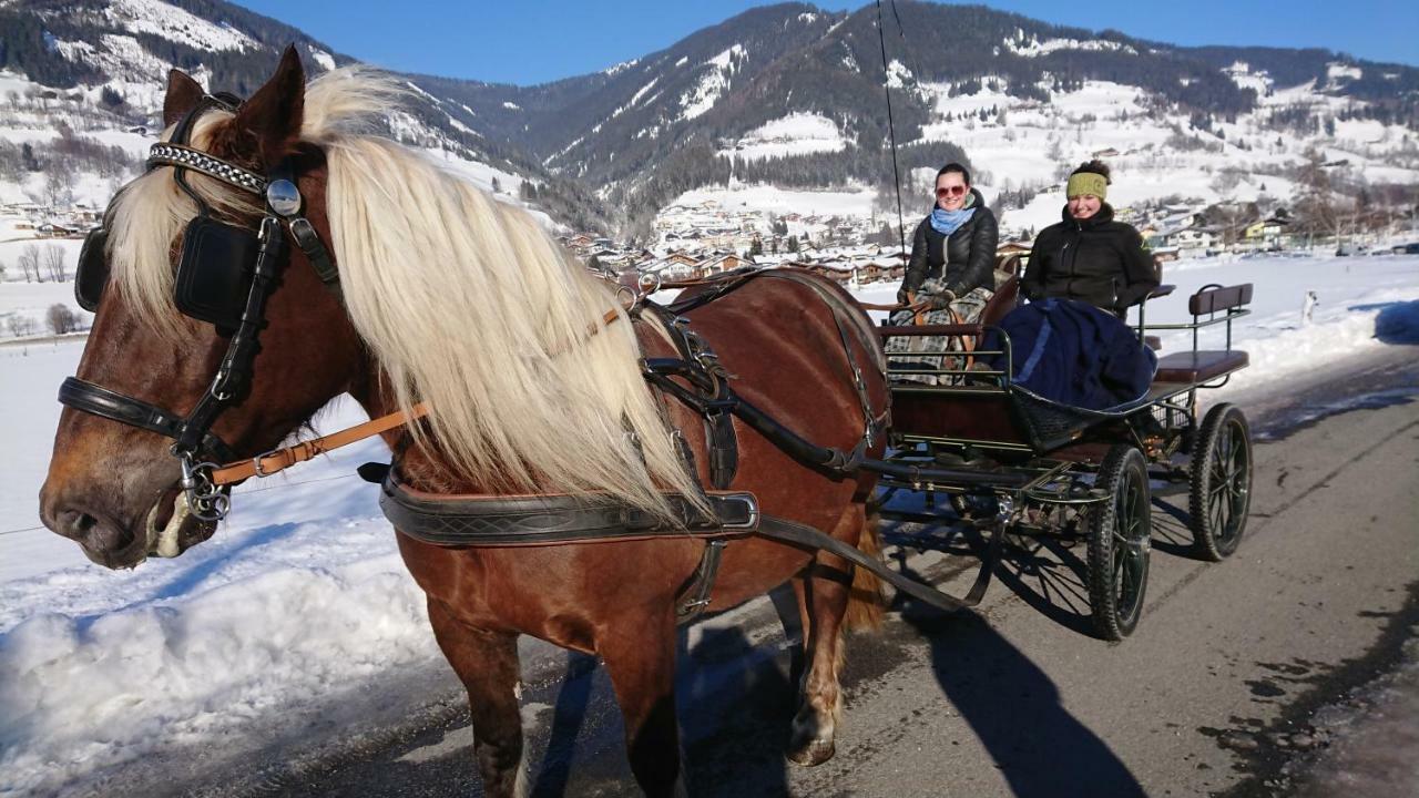 Hohe Tauern In Apartment