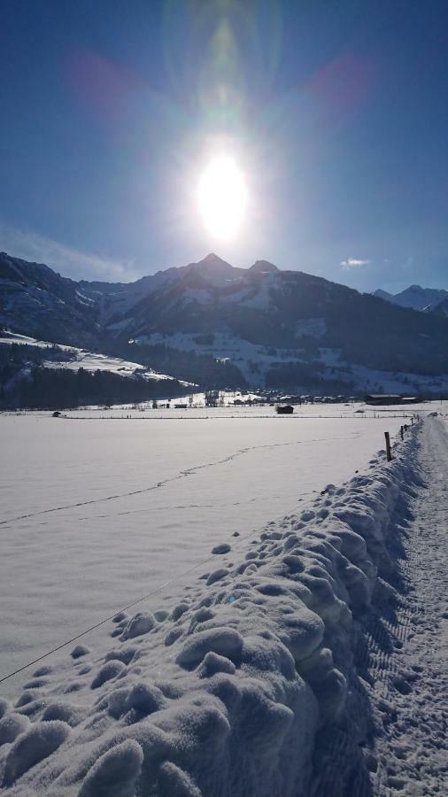 Hohe Tauern In Apartment