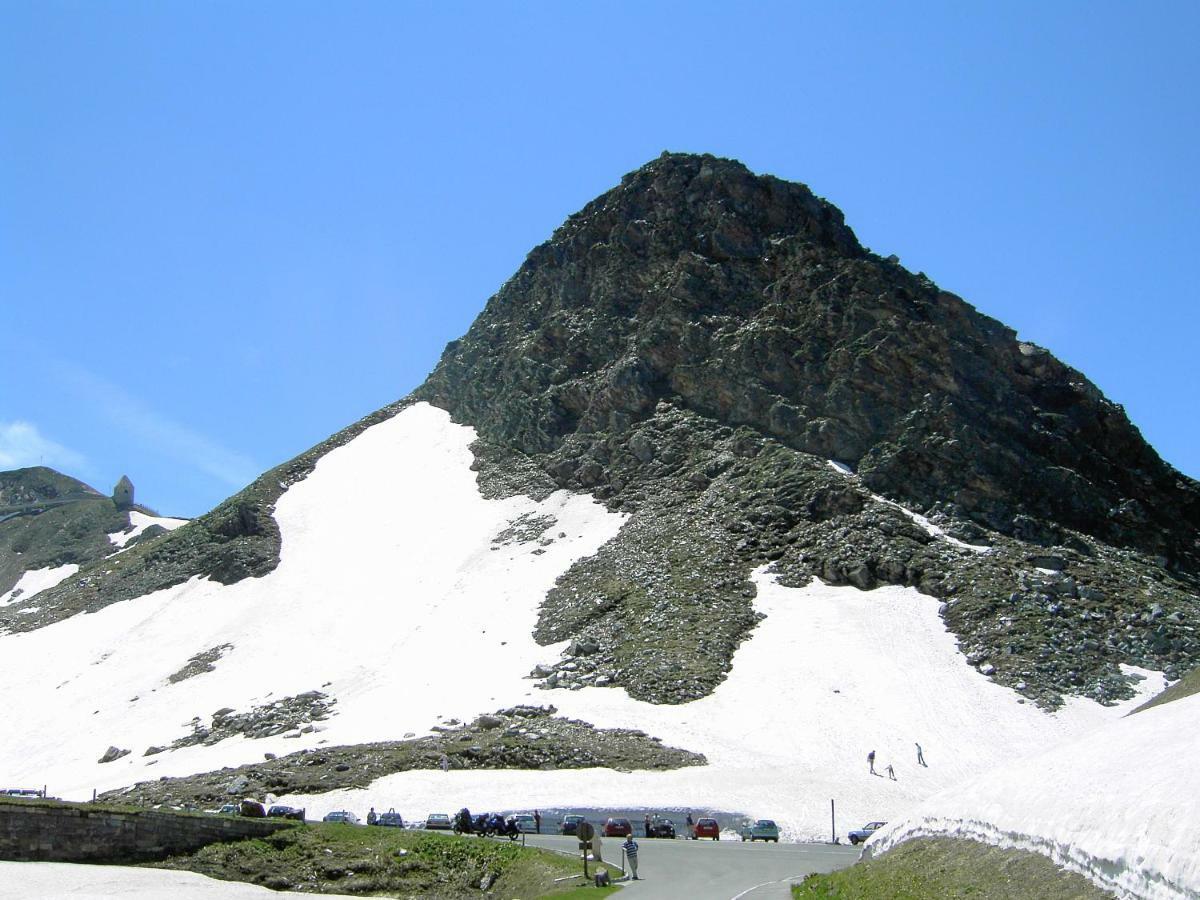 Hohe Tauern In Piesendorf