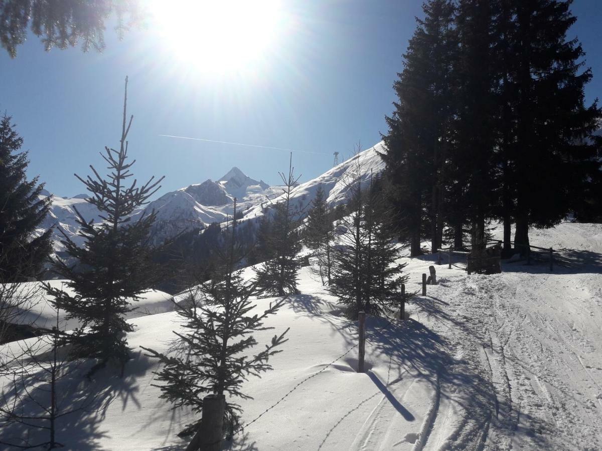 Hohe Tauern In Apartment Piesendorf